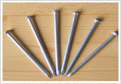 Common Wire Nail for sale